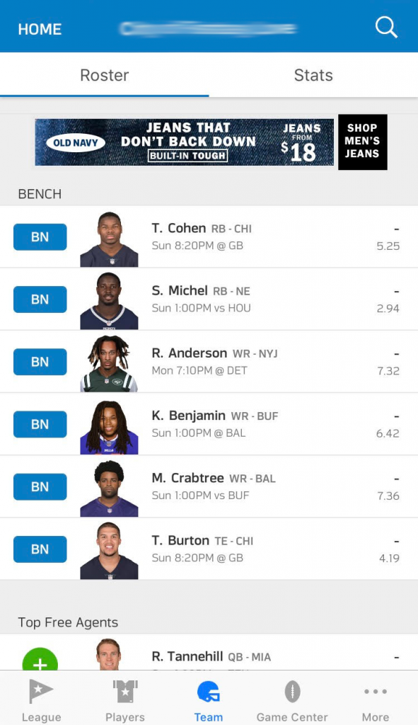 Fantasy Football Roster